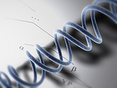 Journal cover image